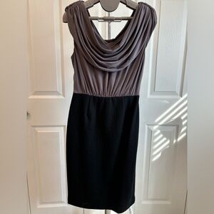 Banana Republic Contrast Bodice dress